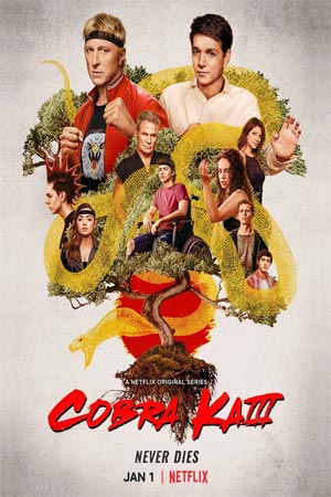ดูซีรีส์ Cobra Kai Season 3 (2021) คอบร้า ไค ซีซั่น 3