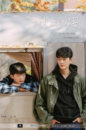 ดูซีรีส์ Cherry Blossoms After Winter (2022)